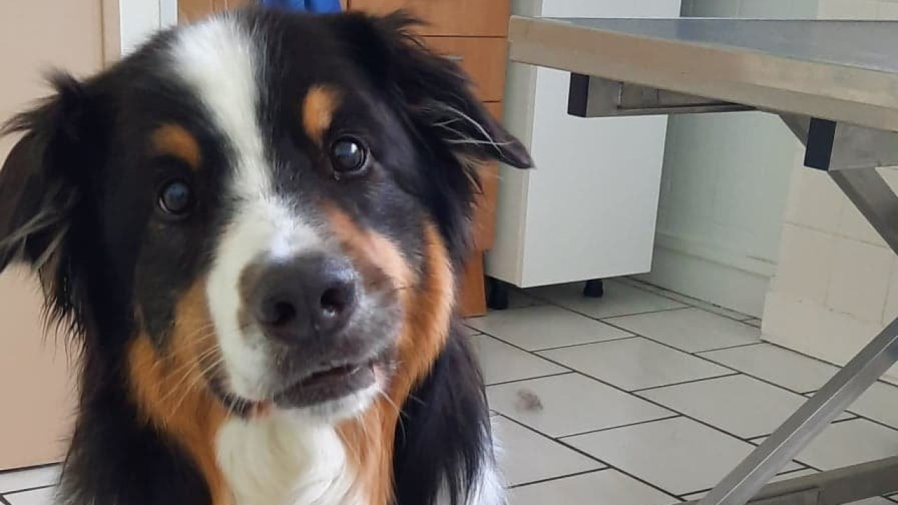 Belle bouille!